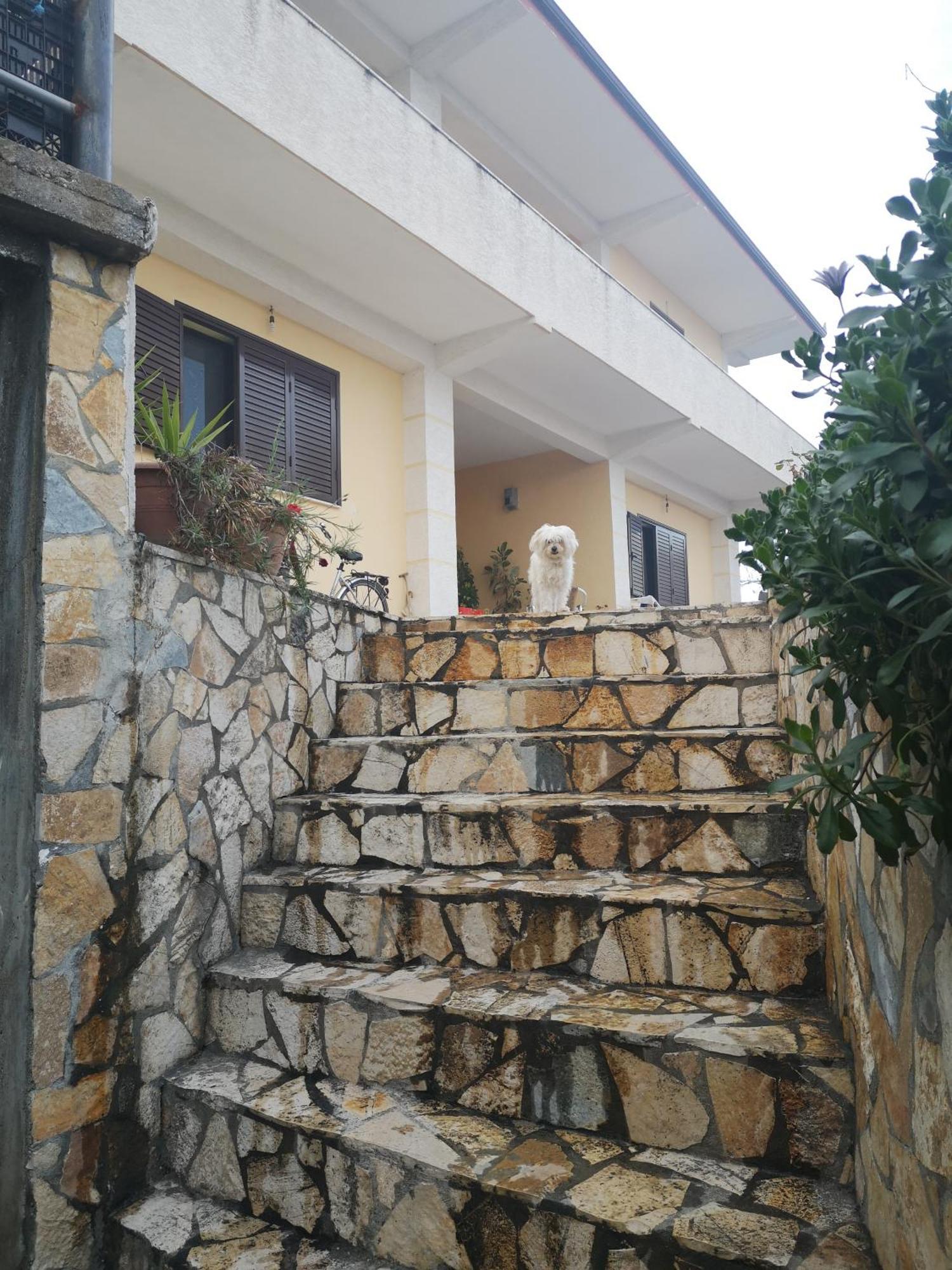 Вілла Private House Дуррес Номер фото